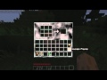 Let's Play Minecraft #1 - Aller Anfang ist schwer