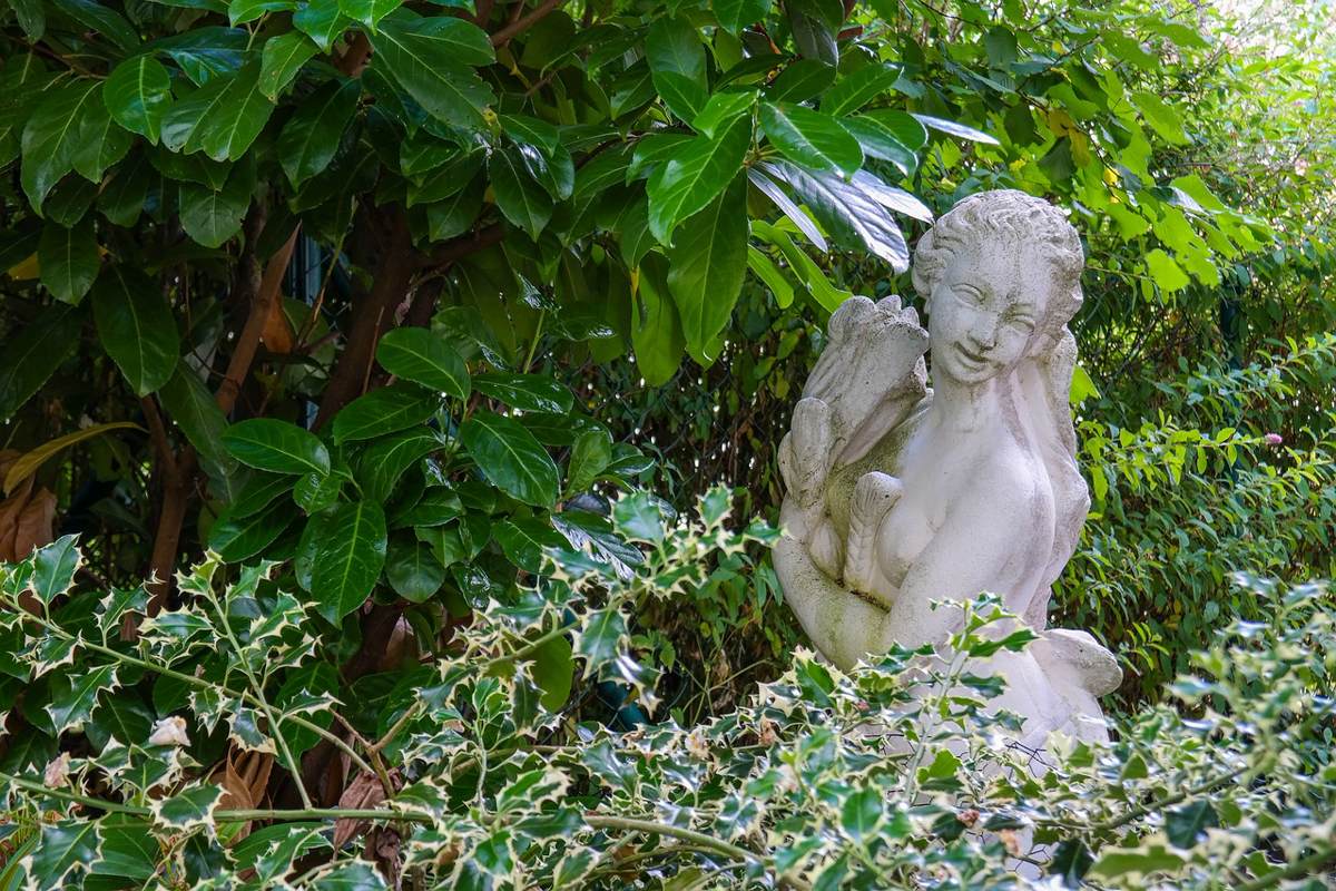 Garten-Kirschlorbeer-Statue