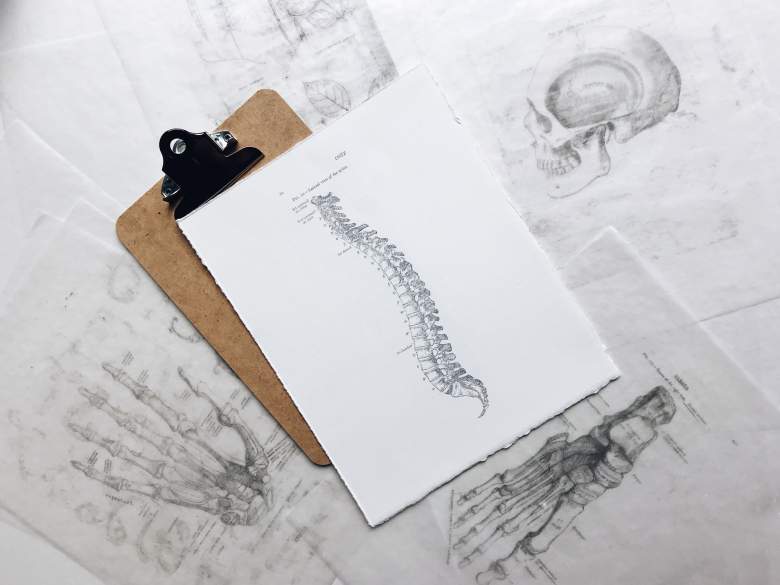 Geschenk Idee Anatomieposter